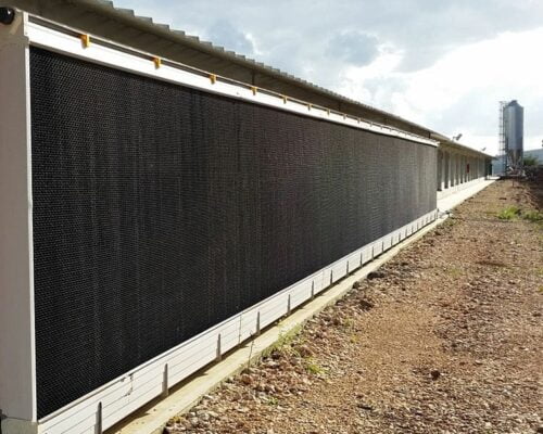 Painéis Evaporativos para Avicultura: Maximizando a Eficiência nas Granjas Avícolas