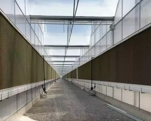 Greenhouses